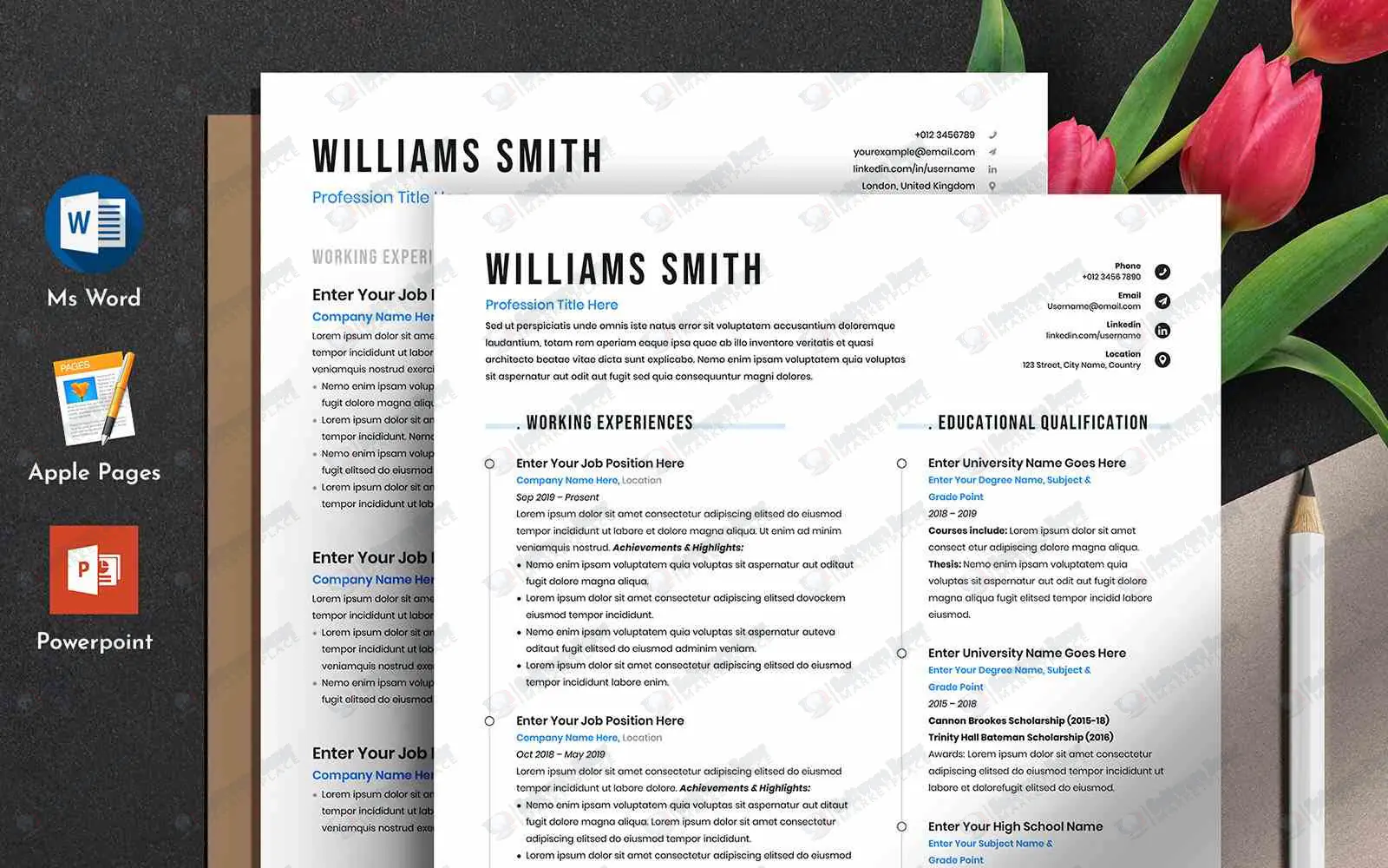 Clean Resume CV Template with MS Word Apple Pages Powerpoint Format Resume Template
