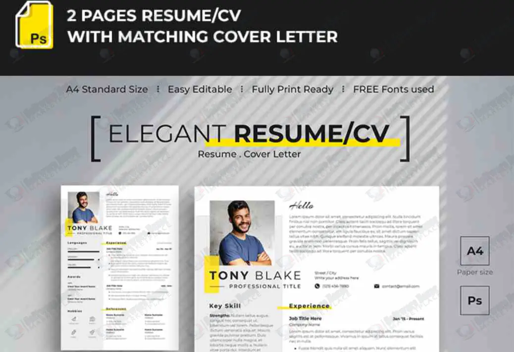 Elegant Free Resume Template