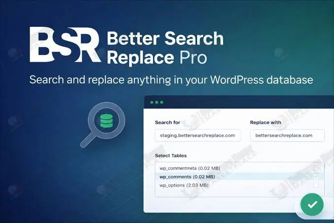 Better Search Replace Pro